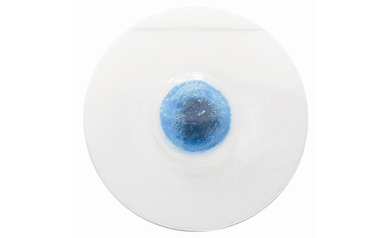 Wet Gel Adult PE Foam Backing Ecg Chest Electrode